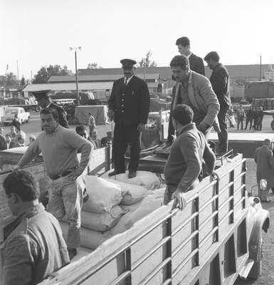 RUM HAREKETLERI VE KATLIAMI