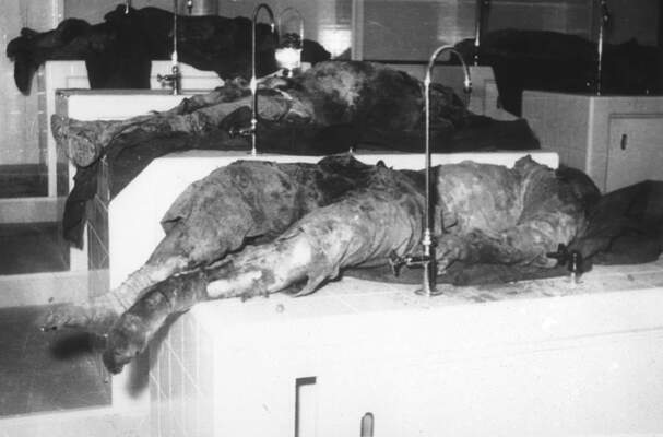 RUM HAREKETLERI VE KATLIAMI