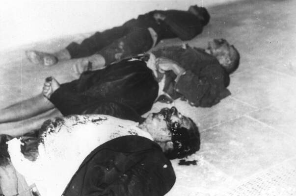 RUM HAREKETLERI VE KATLIAMI