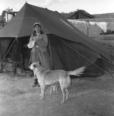 RUM HAREKETLERI VE KATLIAMI