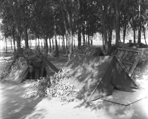 RUM HAREKETLERI VE KATLIAMI