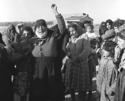 RUM HAREKETLERI VE KATLIAMI