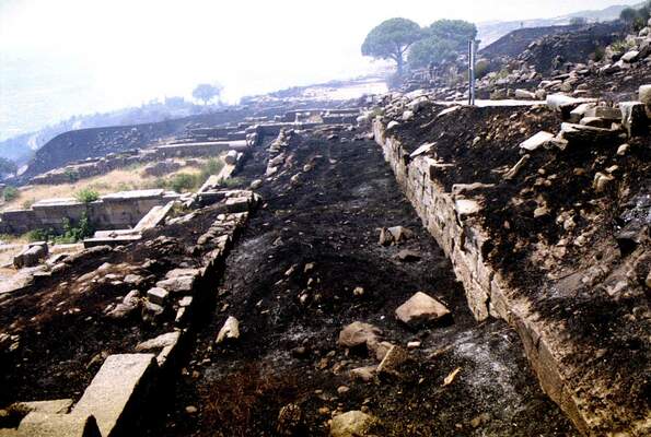 BERGAMA AKRAPOL''DEKI YANGIN