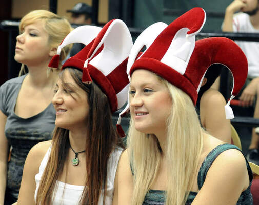 TRIBUNLERDEKI TARAFTARLAR MILLI TAKIMI  DESTEKLEDILER