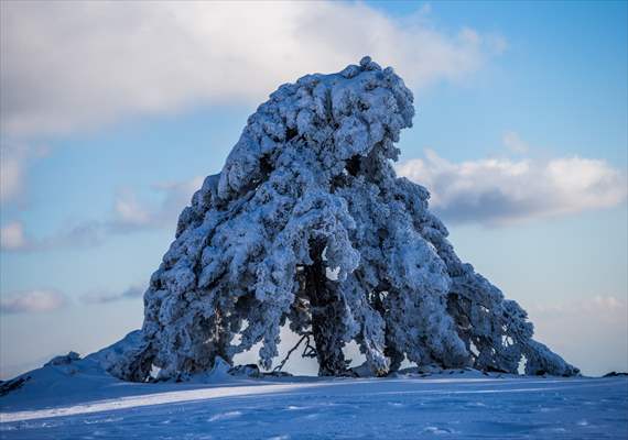 Kayak ve termali buluşturan Murat Dağı'nın büyüleyici kış manzaraları