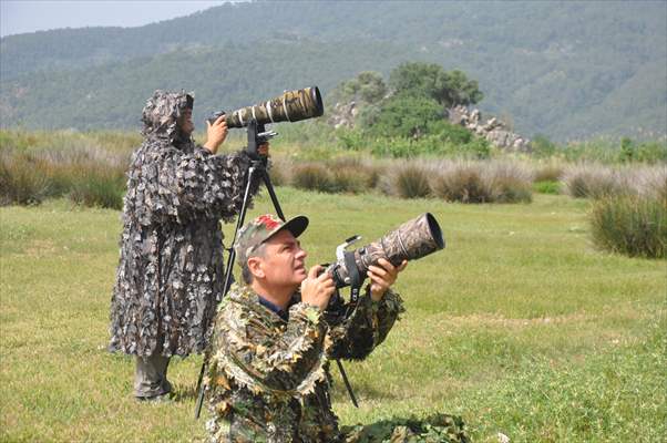 Kuş gözlemcilerinin uğrak yeri: Dalyan Kanalı ve Köyceğiz Gölü