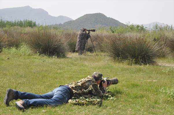 Kuş gözlemcilerinin uğrak yeri: Dalyan Kanalı ve Köyceğiz Gölü