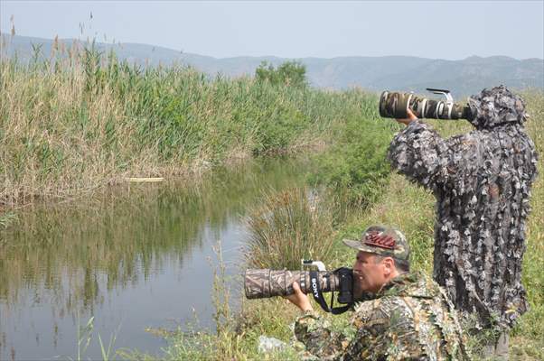 Kuş gözlemcilerinin uğrak yeri: Dalyan Kanalı ve Köyceğiz Gölü