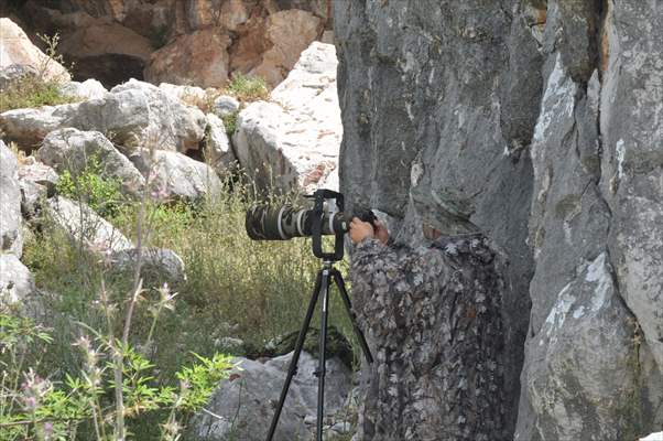 Kuş gözlemcilerinin uğrak yeri: Dalyan Kanalı ve Köyceğiz Gölü