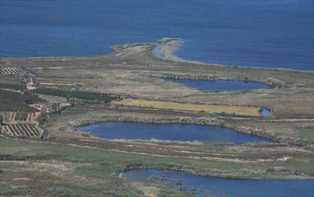 Kuş gözlemcilerinin uğrak yeri: Dalyan Kanalı ve Köyceğiz Gölü
