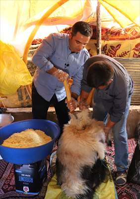 "Söğle peyniri" kuyularda lezzetleniyor