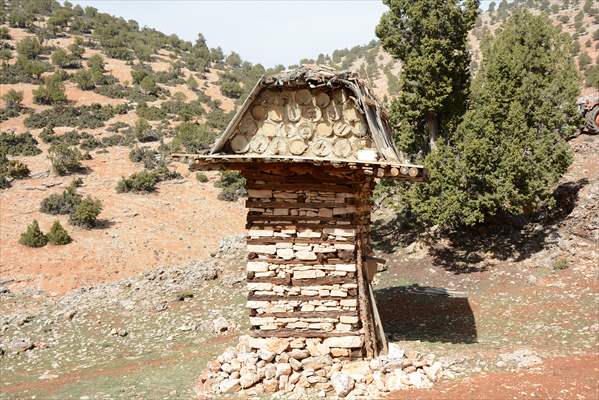 Antalya'daki tarihi Likya tipi arı serenleri yaşatılmaya çalışılıyor