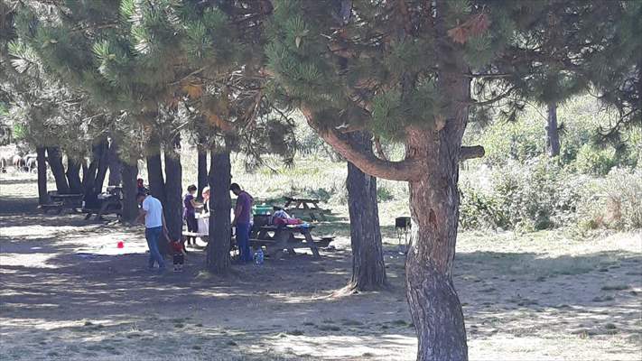 Abant, Gölcük ve Yedigöller'e 8 ayda 776 bin ziyaretçi