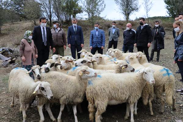 Koyunları kurt saldırısında telef olan aileyi, Bakan Pakdemirli sevindirdi