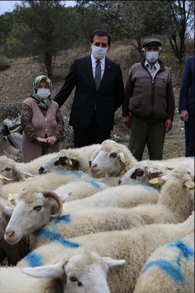 Koyunları kurt saldırısında telef olan aileyi, Bakan Pakdemirli sevindirdi