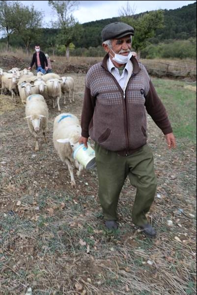 Koyunları kurt saldırısında telef olan aileyi, Bakan Pakdemirli sevindirdi