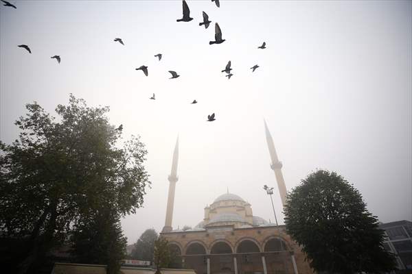 Foggy day in Turkey's Duzce