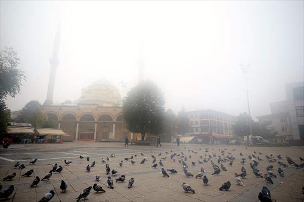 Foggy day in Turkey's Duzce