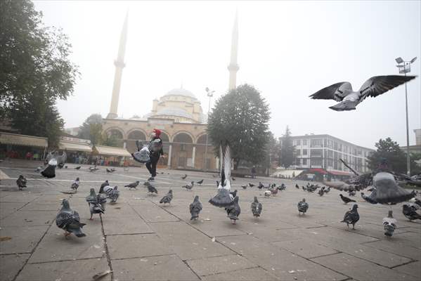 Foggy day in Turkey's Duzce