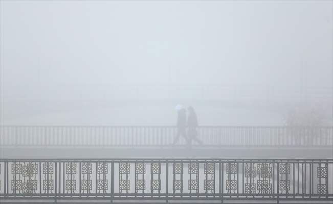 Foggy day in Turkey's Duzce