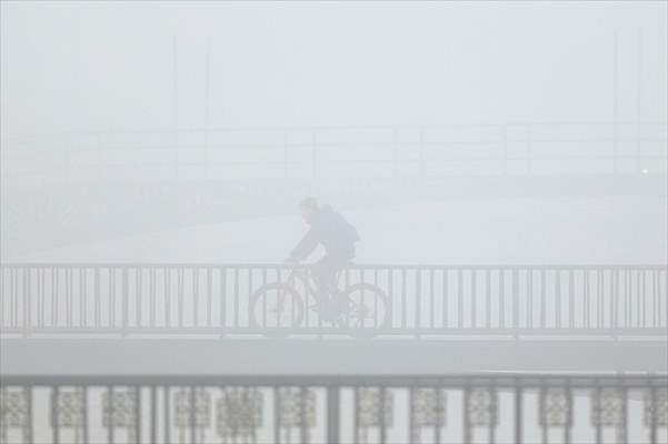 Foggy day in Turkey's Duzce