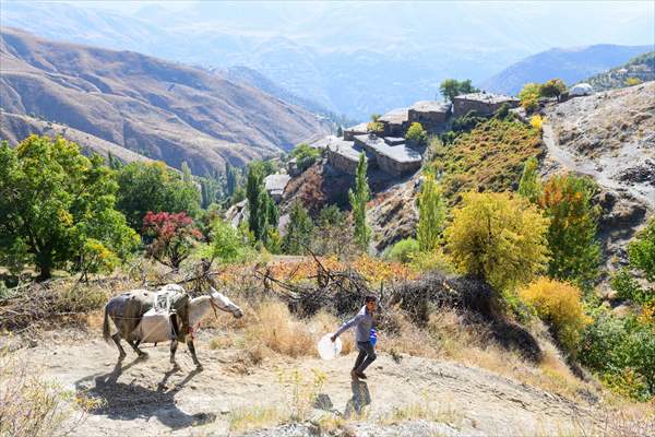 Grape molasses production with traditional method