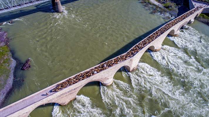 Jouney on the Palu bridge