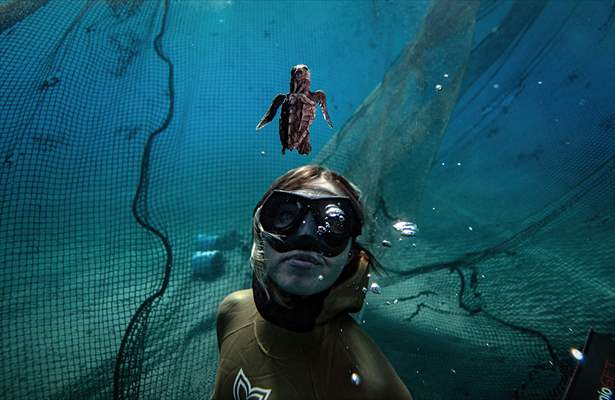Şahika Ercümen with baby Caretta caretta