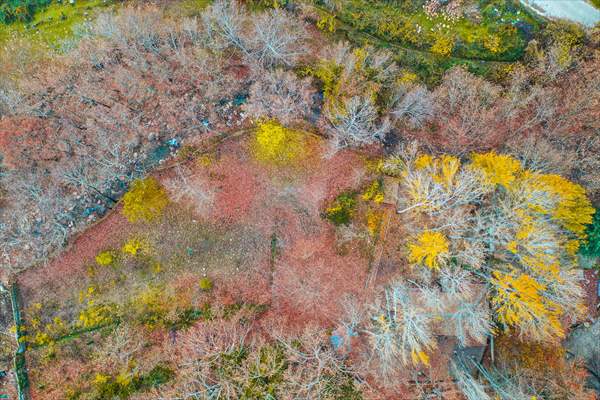 Colors of Mount Amanos in Turkey