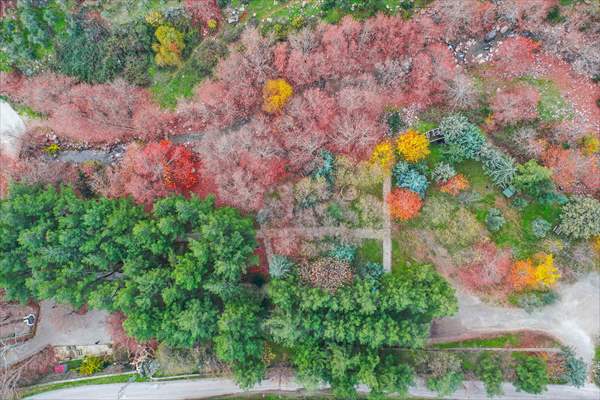 Colors of Mount Amanos in Turkey