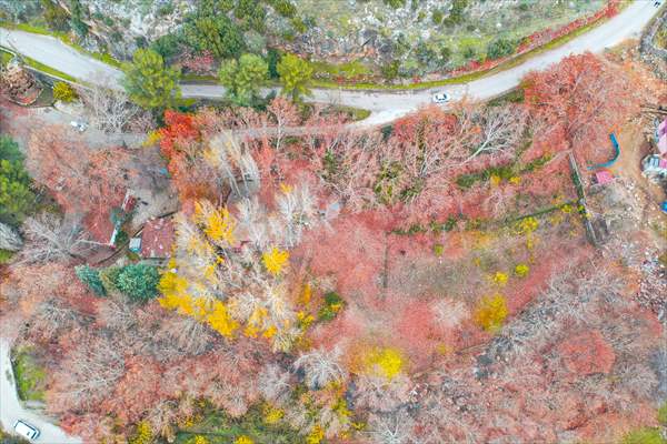 Colors of Mount Amanos in Turkey