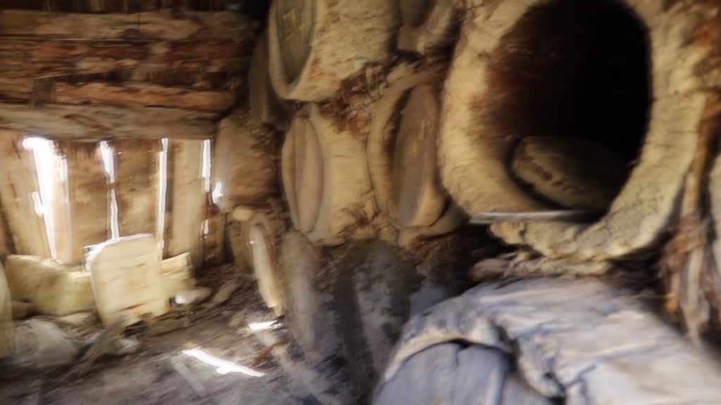 Tarihi Likya tipi arı serenleri yaşatılmaya çalışılıyor - ANTALYA