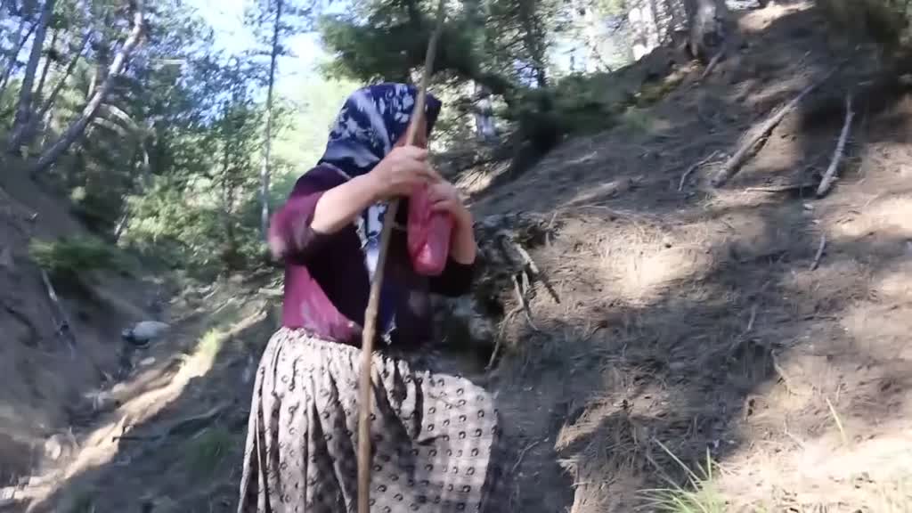 Koyunları kurt saldırısında telef olan aileyi Bakan Pakdemirli sevindirdi - İZMİR/BOLU